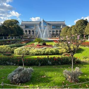 Köln: Çikolata Tadında Bir Şehir